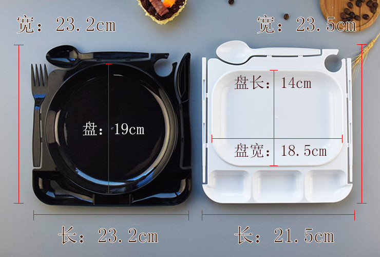 (箱/100套) 一次性盤子堂食 露營燒烤套裝一次性碟子 打包PP塑料餐盤 (包運送上門)