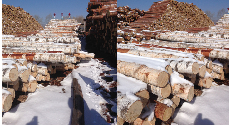 (箱/10000支) 一次性原色木製面取雪糕棒雪糕勺雪棍棒冰棍棒 (包運送上門)