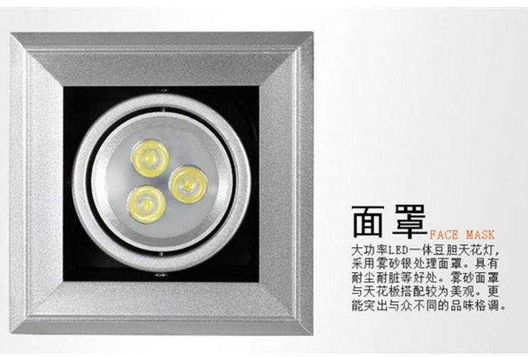 LED 豆膽燈斗膽燈 3w格柵燈 單頭3W豆膽燈 可轉動嵌入式格柵燈